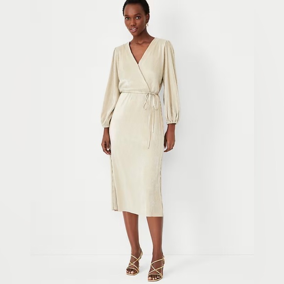 Ann Taylor Dresses & Skirts - Ann Taylor Shimmer Pleated Wrap Dress NWT